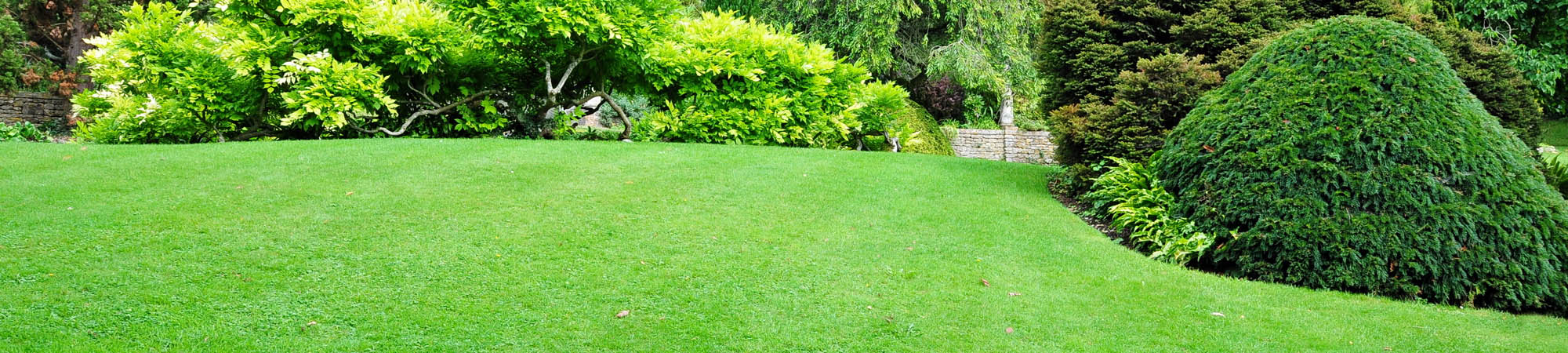 Pest-Free Lawn Maintained By Lawn Insect Control In Edmond, OK