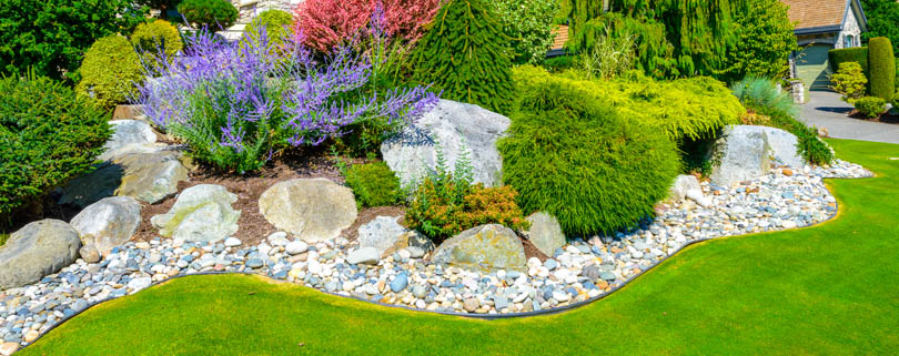 Plants And Lawn Care Treatment In Edmond, OK